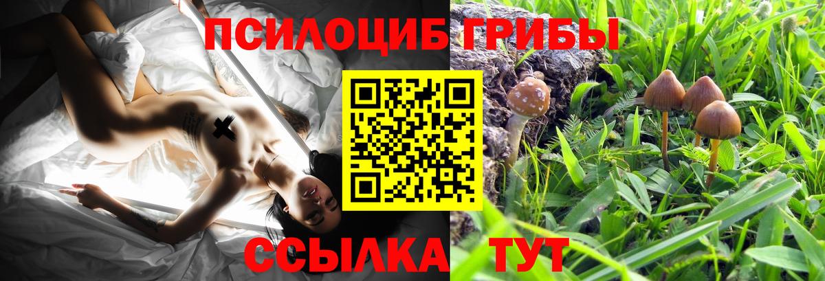 Псилоцибиновые грибы мухоморы  Галлюциногенные грибы мицелий  Муром  купить наркотик  Вход с VPN 