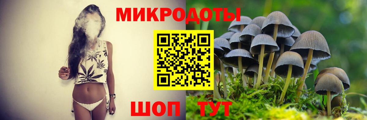 Псилоцибиновые грибы GOLDEN TEACHER Муром